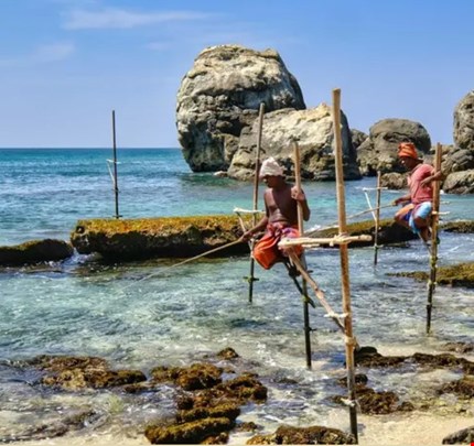 Travel the world with NOMA image